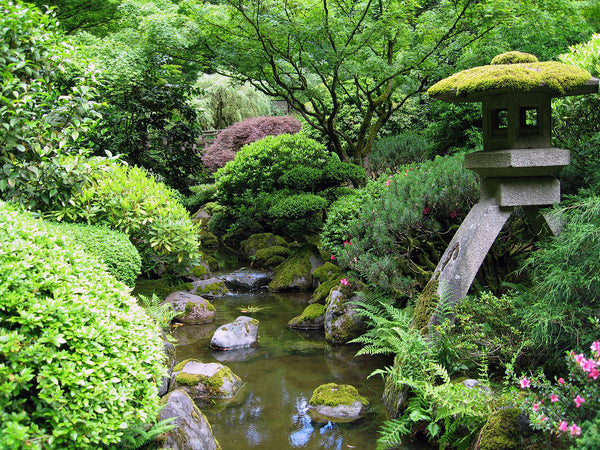 How to create a Zen Garden