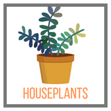 Shop Houseplants Online Garden Goods Direct