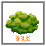 Shop Shrubs Online Garden Goods Direct