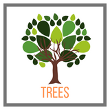 Shop Trees Online Garden Goods Direct