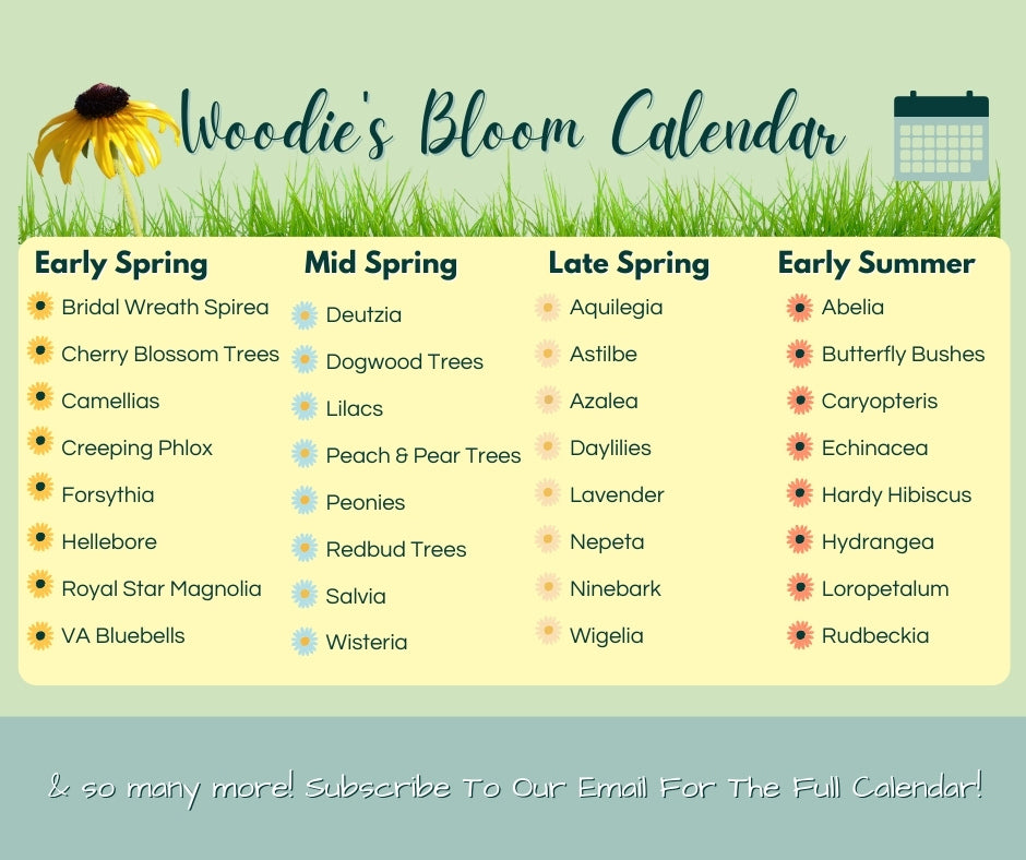 Ultimate Guide to Flowering Shrubs, Trees & Perennials | Garden