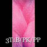 3T1B/PK/PP