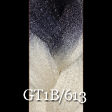 GT1B/613