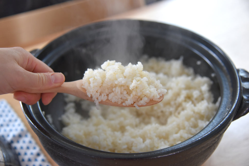 Japanify: Shioshake Donabe Rice