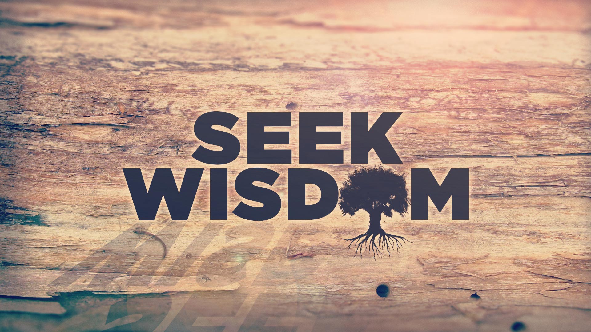 Seek Wisdom 2048x ?v=1621263671