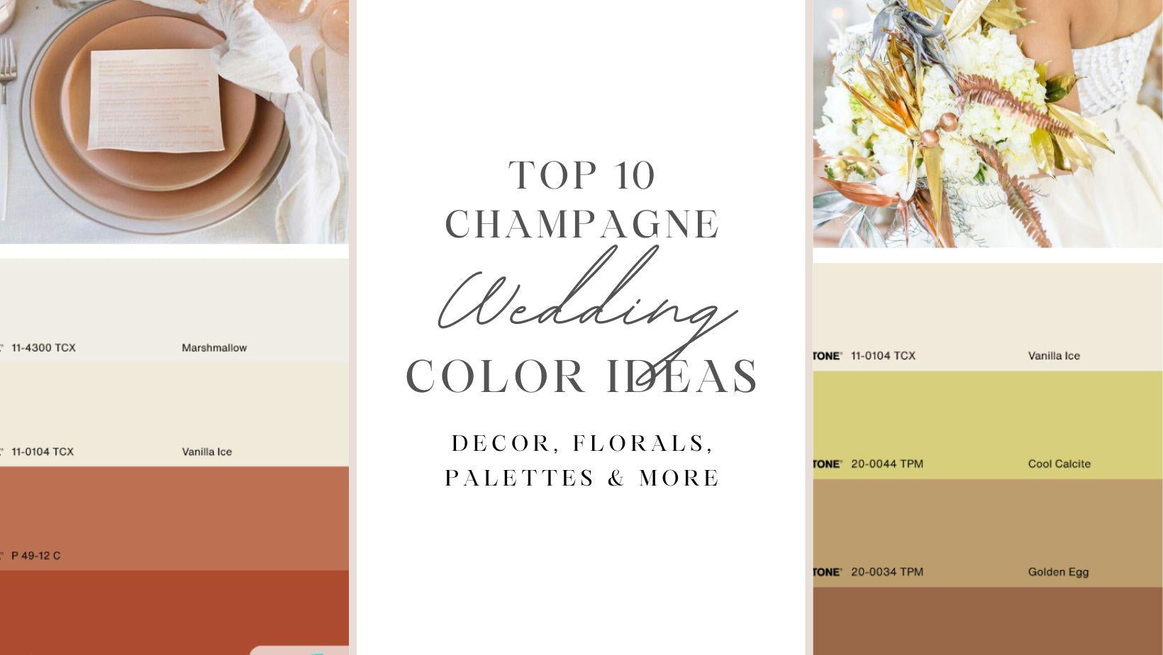 ranura envidia El principio Top 10 Champagne Wedding Color Combination Ideas