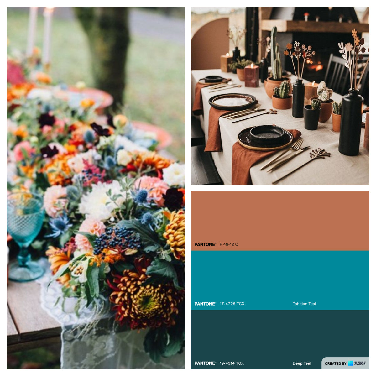 teal color palette