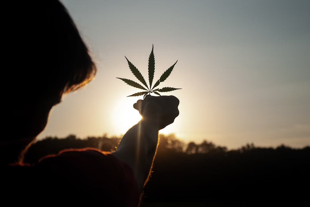 A person holding a cannabis leaf