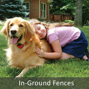 In-Ground Dog Fences