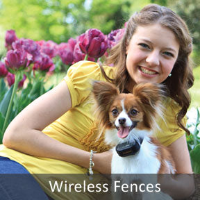 Wireless Dog Fences