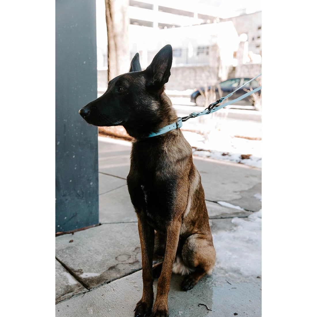 Dusty Blue Biothane Collar