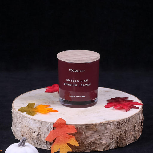 https://cdn.shopify.com/s/files/1/0213/0776/products/Cocobystone-Candles-Smells-Like-Burning-Leaves-1_512x512.jpg?v=1680141308