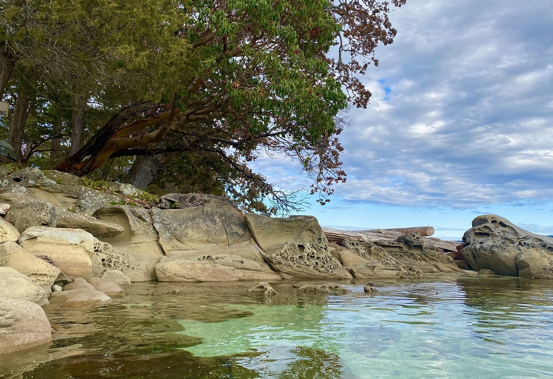 View of the shoreline near Yellowpoint Lodge