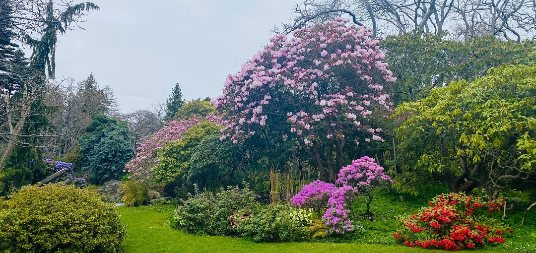 Abkhazi garden in Victoria BC