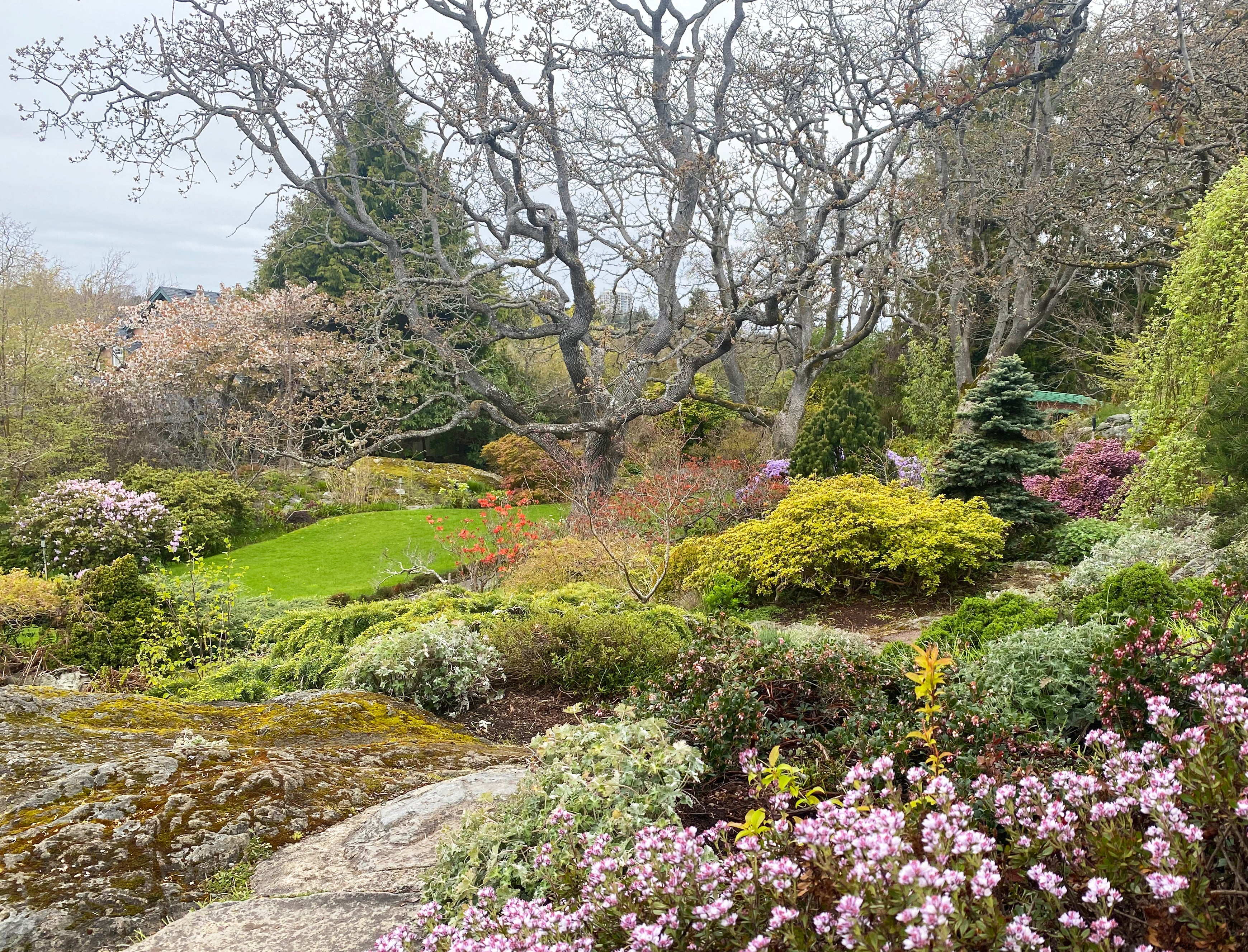 Abkhazi garden in Victoria BC