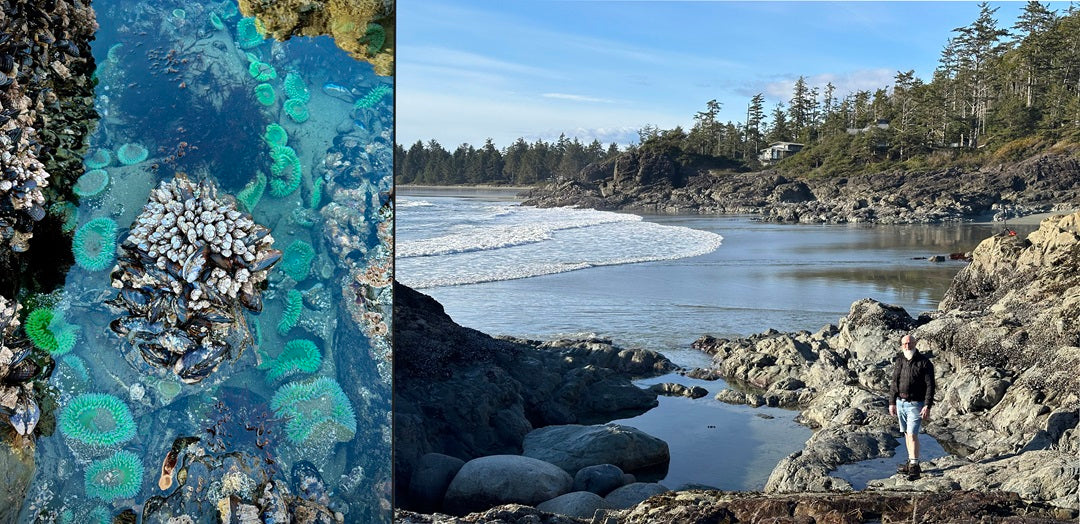 Cox Bay Beach, Tofino BC