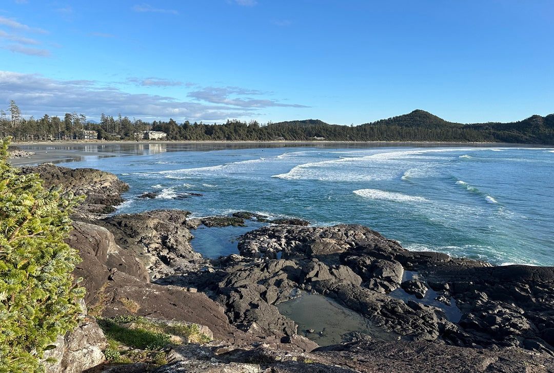 Cox Bay Beach, Tofino BC