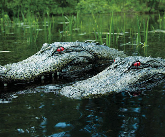 Alligator Decoy