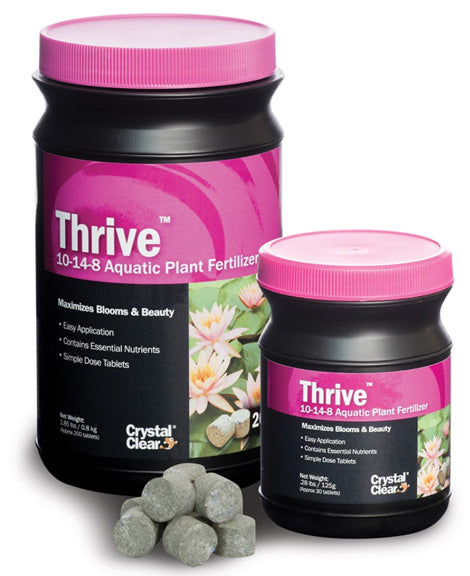 CrystalClear Thrive