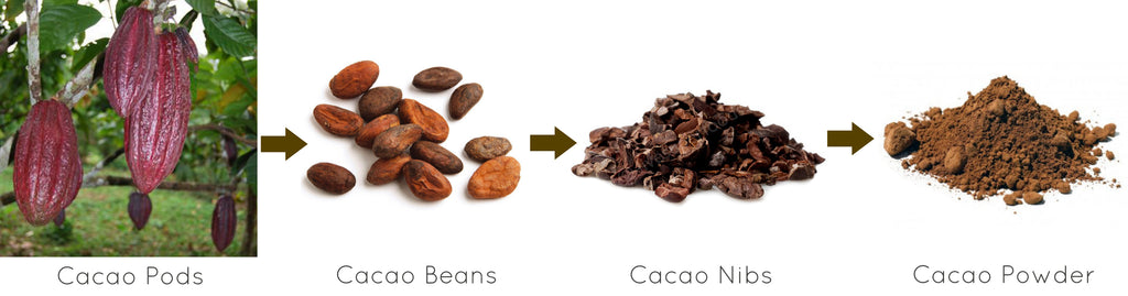 How Cacao Powder Is Created