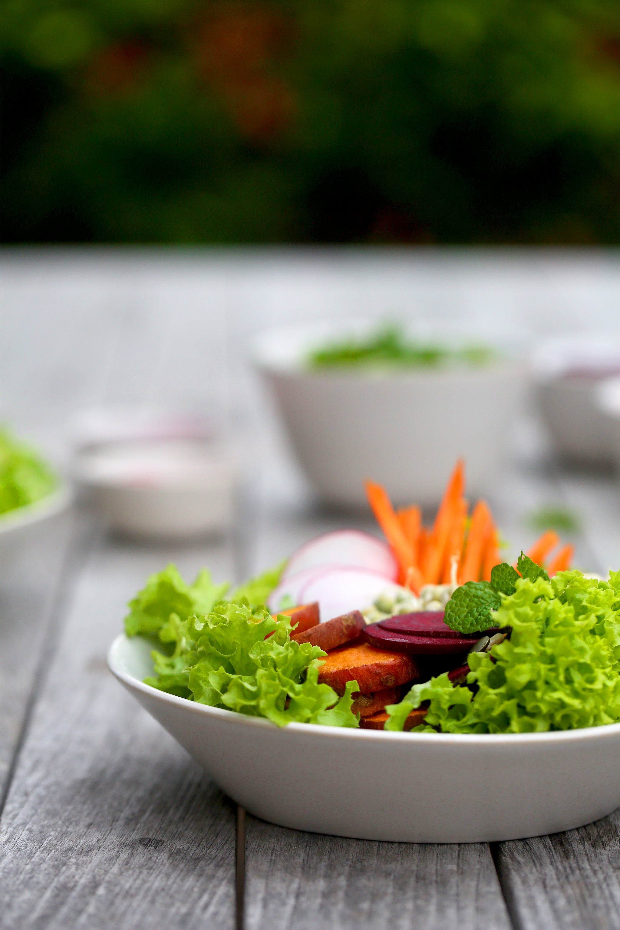 THE ULTIMATE SALAD BOWL - super versatile and perfect for lunch or dinner, healthy, vegan, dairy free, gluten free, macrobiotic, recipe