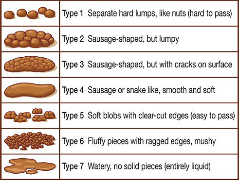 BRISTOL STOOL AND COLOUR CHART - Be Good Organics