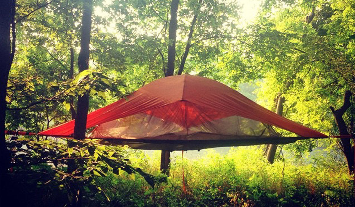 3 Ideal Campgrounds For Tree Tent Camping In National Parks Tentsile