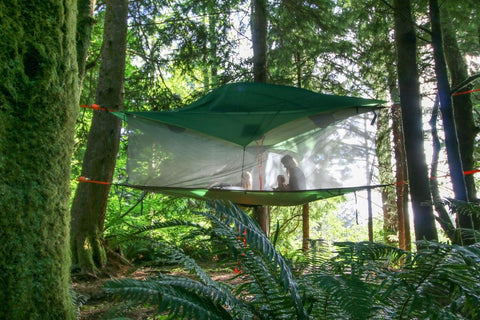 Tent hanging between trees