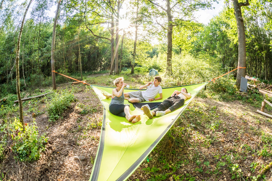 Trillium Giant Hammock