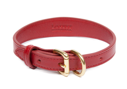 leather pet collars