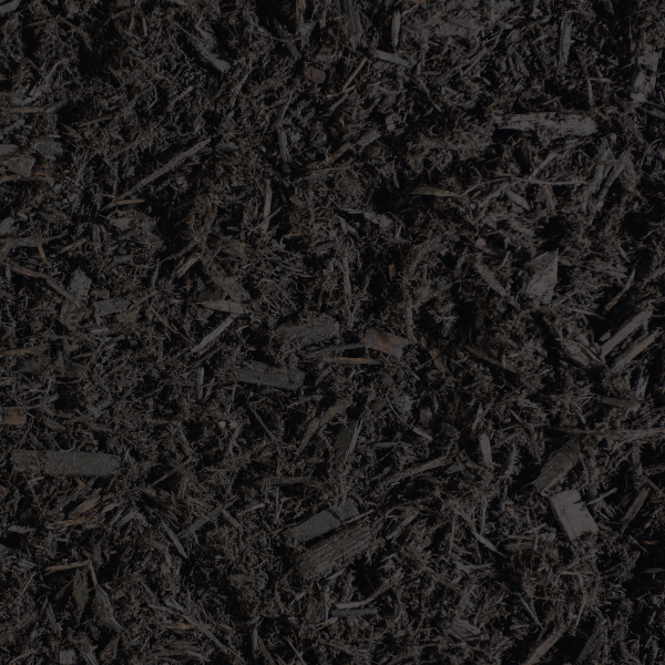 Black Mulch