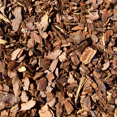 Pine Bark Fines Mulch (2 Cubic Foot Bag) – Denchfield Nursery, Inc.