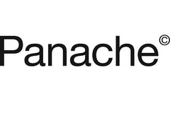 Panache Lingerie & Swimwear Logo