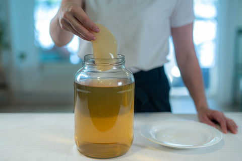 Kombucha scoby laitetaan lasipurkkiin