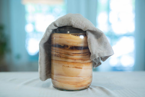 Scoby-hotelli lasipurkissa