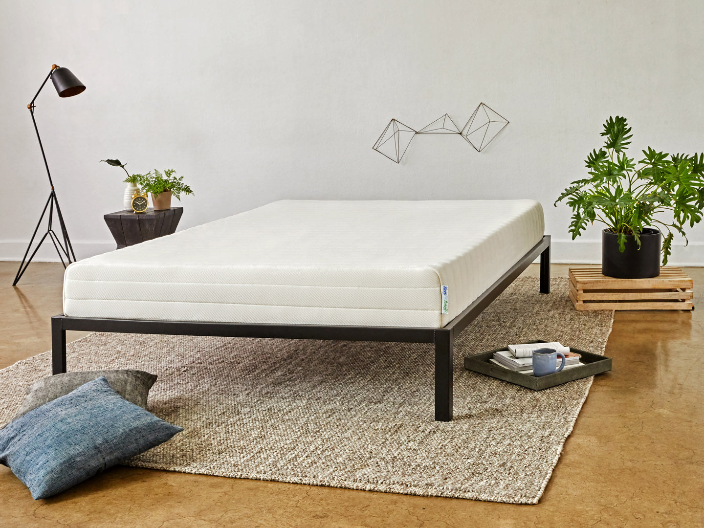 latex mattress bedframe needs