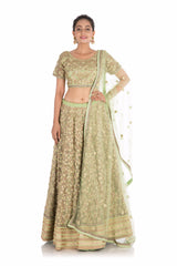 lehenga pistachio