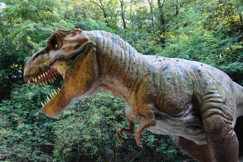 T Rex ou Giganotosaurus 