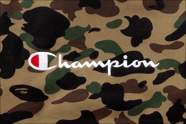 champion camo jumper