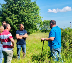 Wild Food Foraging & Cookery