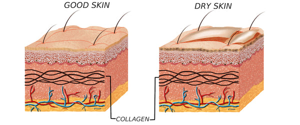 Dry skin is a leading cause of beardruff and flakey beard