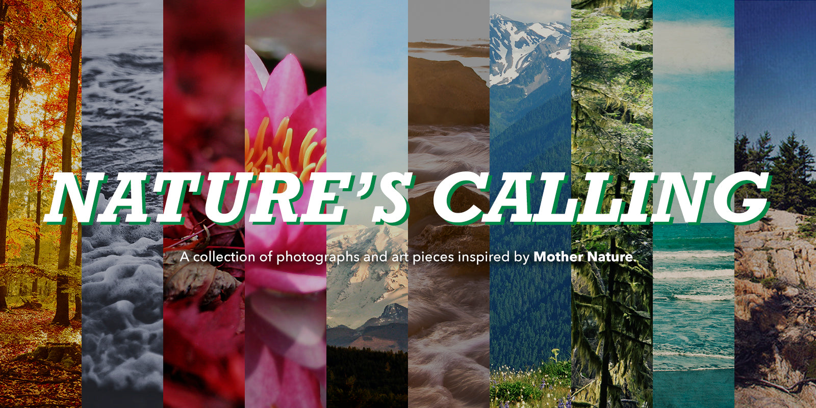 Nature's Calling | KESS InHouse