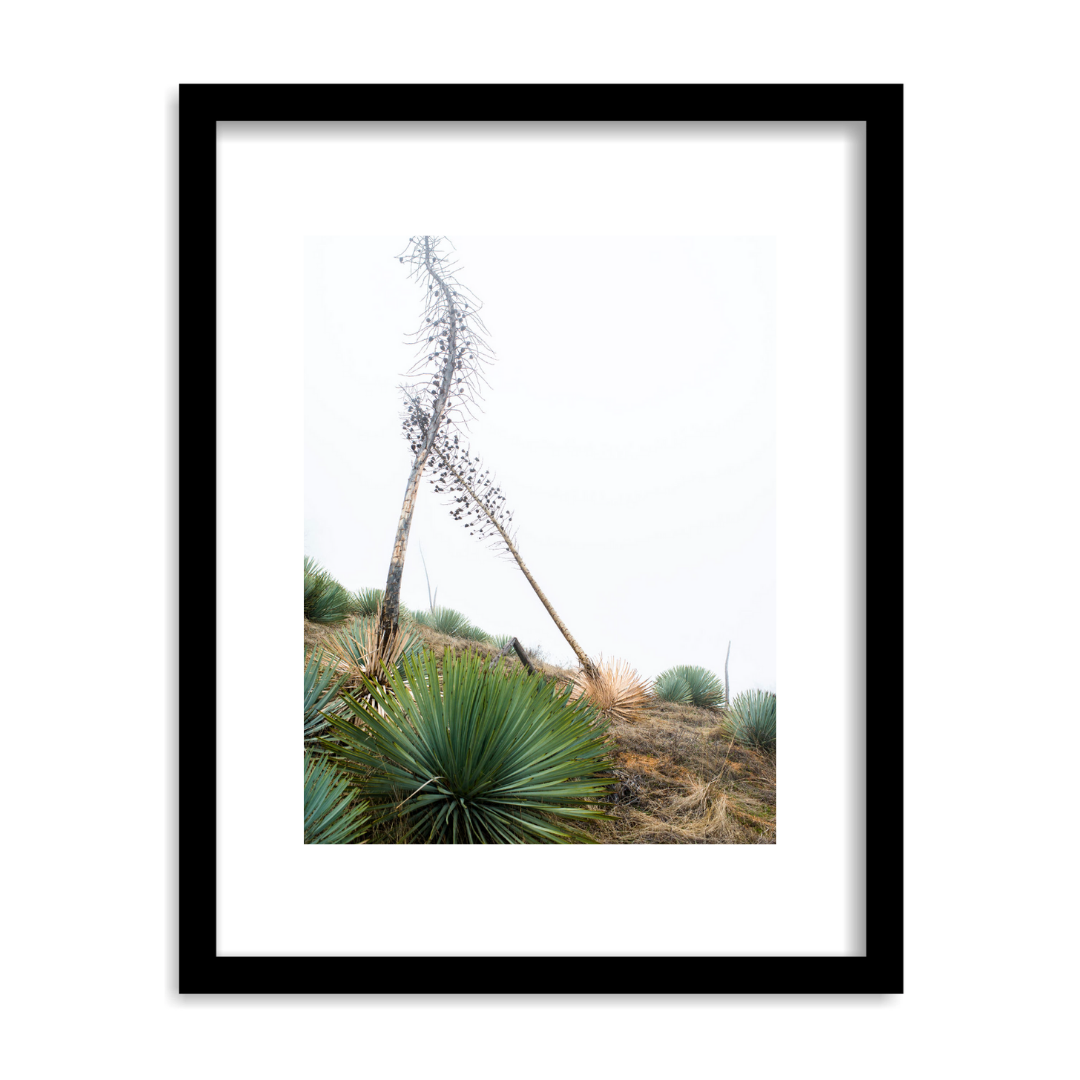 "Off the Beaten Path" Framed Print