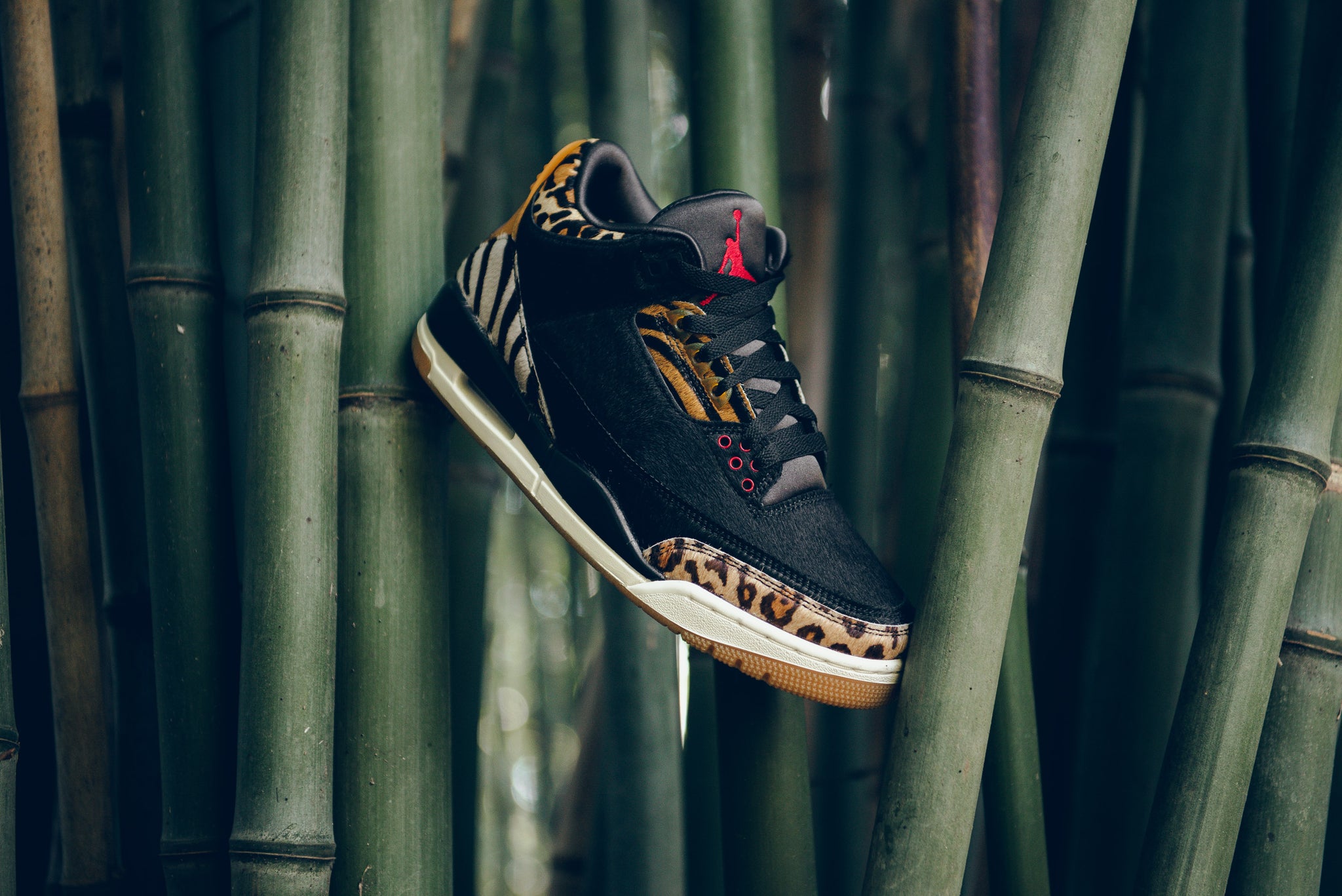 jordan 3 animal instinct outfit