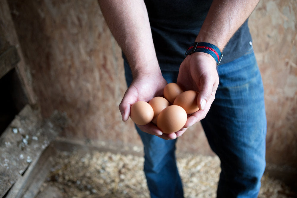 Man holding eggs
