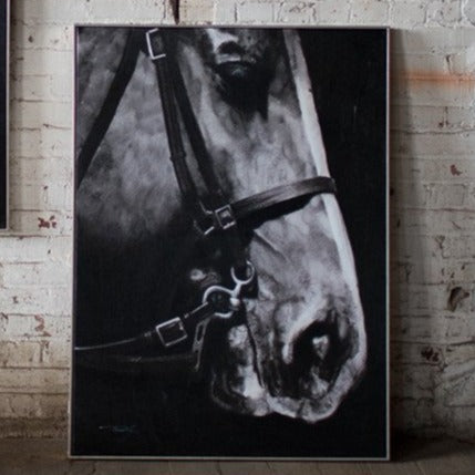 black and white horse head