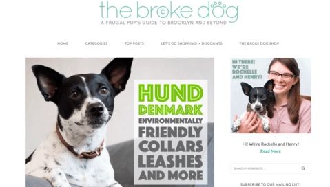 Best Sustainable Dog wear Brand 