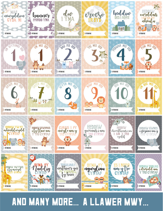 baby milestone cards next