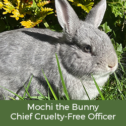 Nourish Organic Chief Cruelty Free Officer – Mochi the Bunny (yes, he's real!)