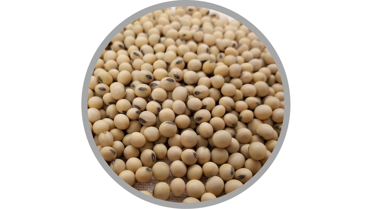 Certified Organic Soy Lecithin